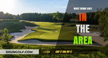 Exploring Local Golf Courses: A Guide to Tee Times Nearby