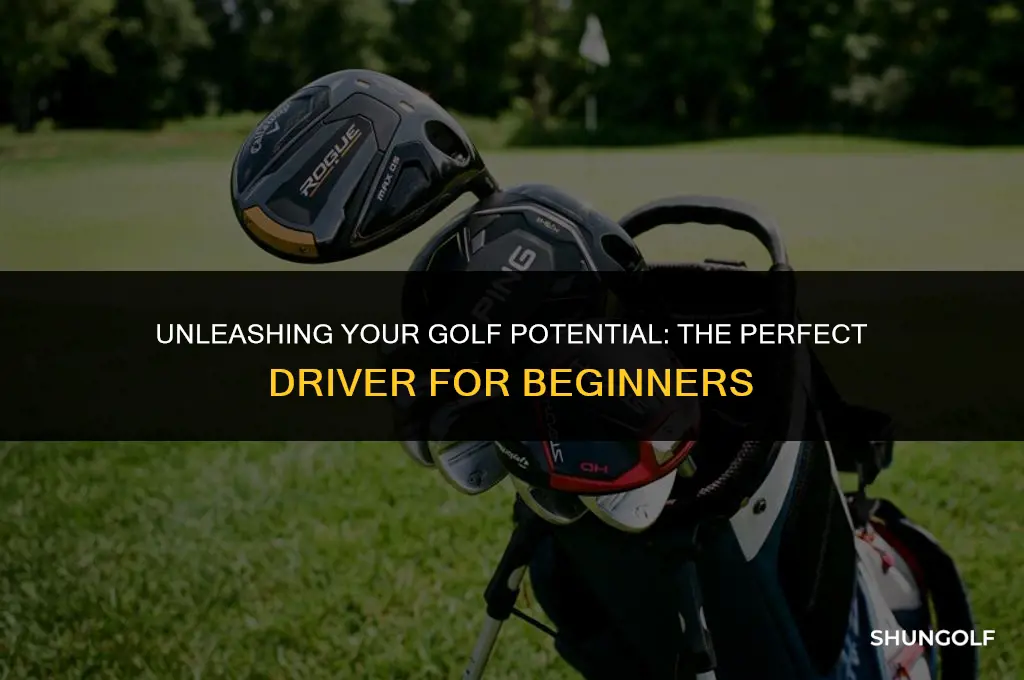 what driver for a beginner golfer