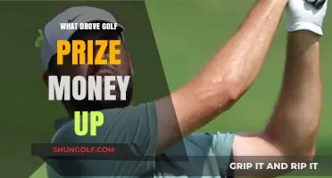 Exploring the Factors Behind Golf's Soaring Prize Money Surge