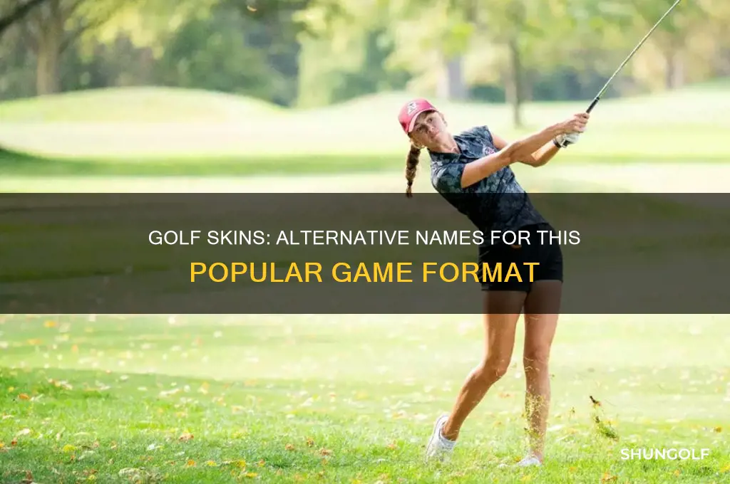 what else are skins called in game in golf