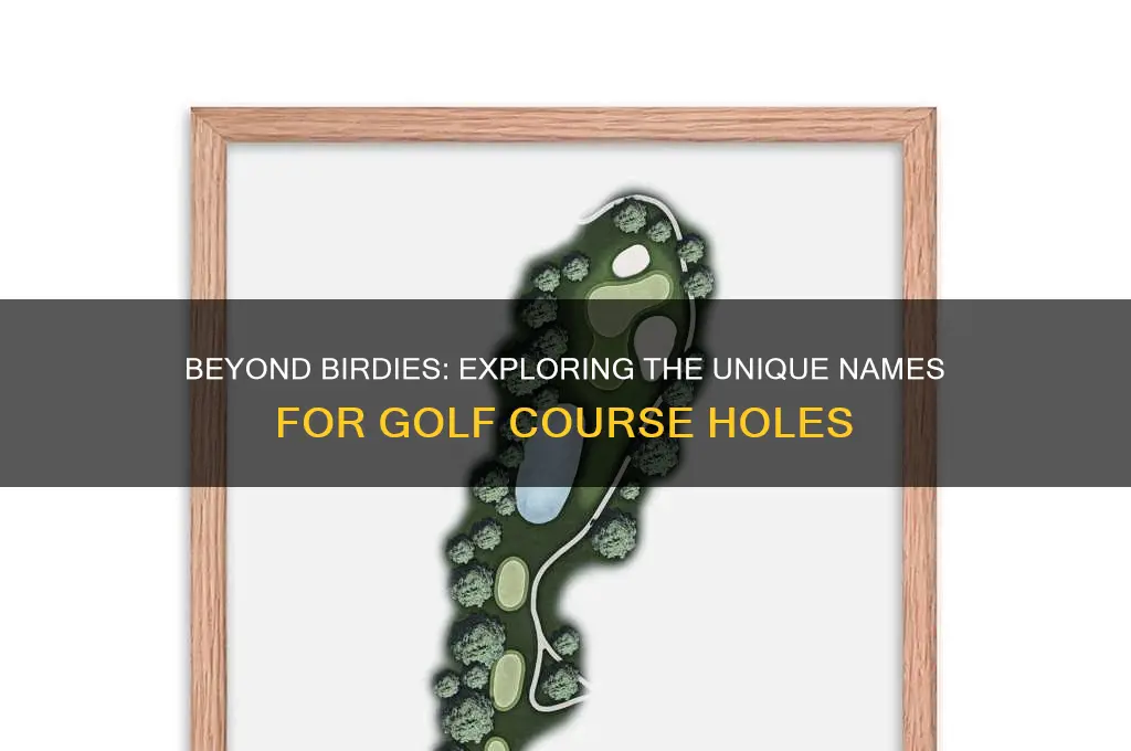 what else do you call holes in golf
