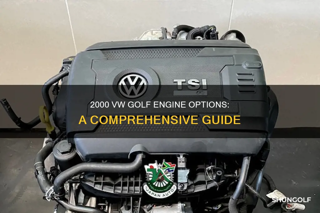 what engine is available for a 2000 golf