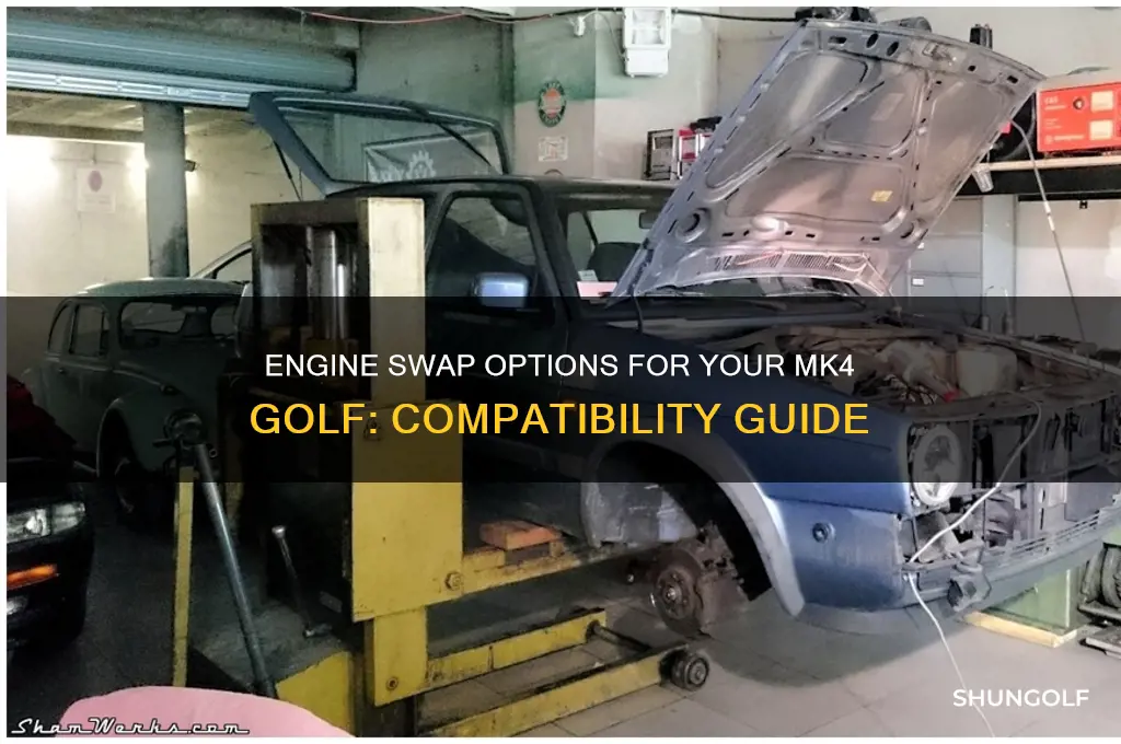 what engine will fit in a mk4 golf