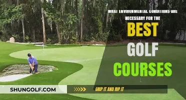 Perfect Greens: Ideal Environmental Conditions for Top Golf Courses