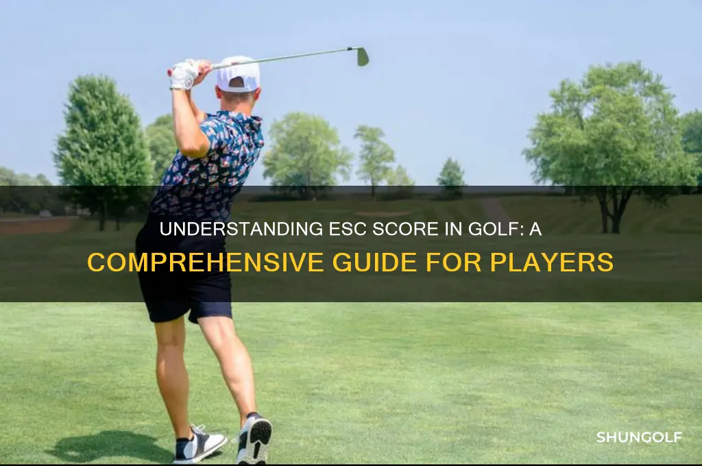 what esc score golf