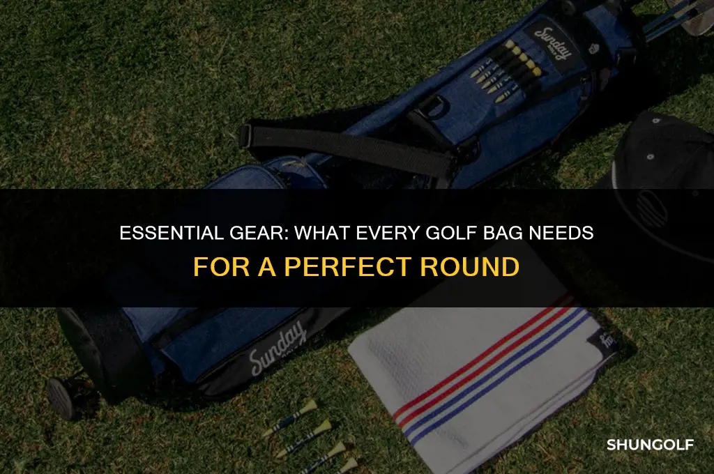 what every golf bag needs