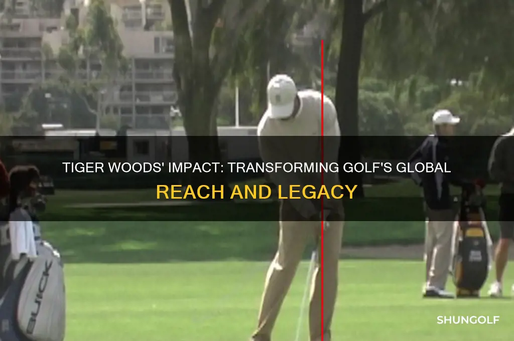 what fact did tiger have on the game of golf