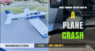 Tragic Skies: Remembering the Golfer Lost in a Plane Crash