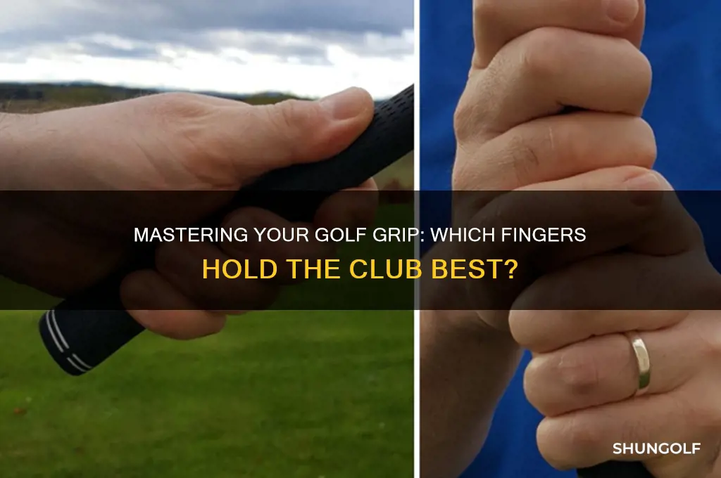 what fingers hold the golf club