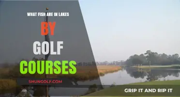 Exploring Aquatic Life: Fish Species in Golf Course Lakes
