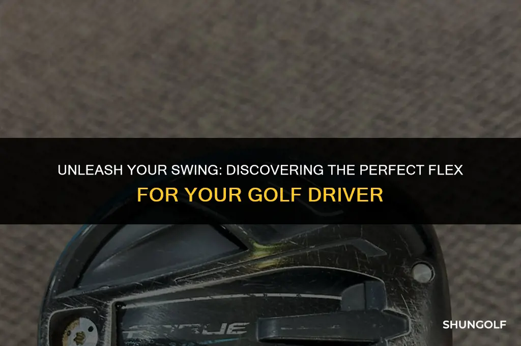 what flex for my golf driver