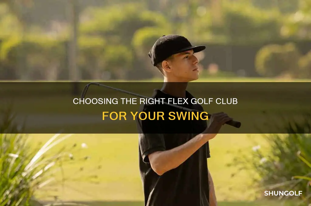 what flex golf club do i need