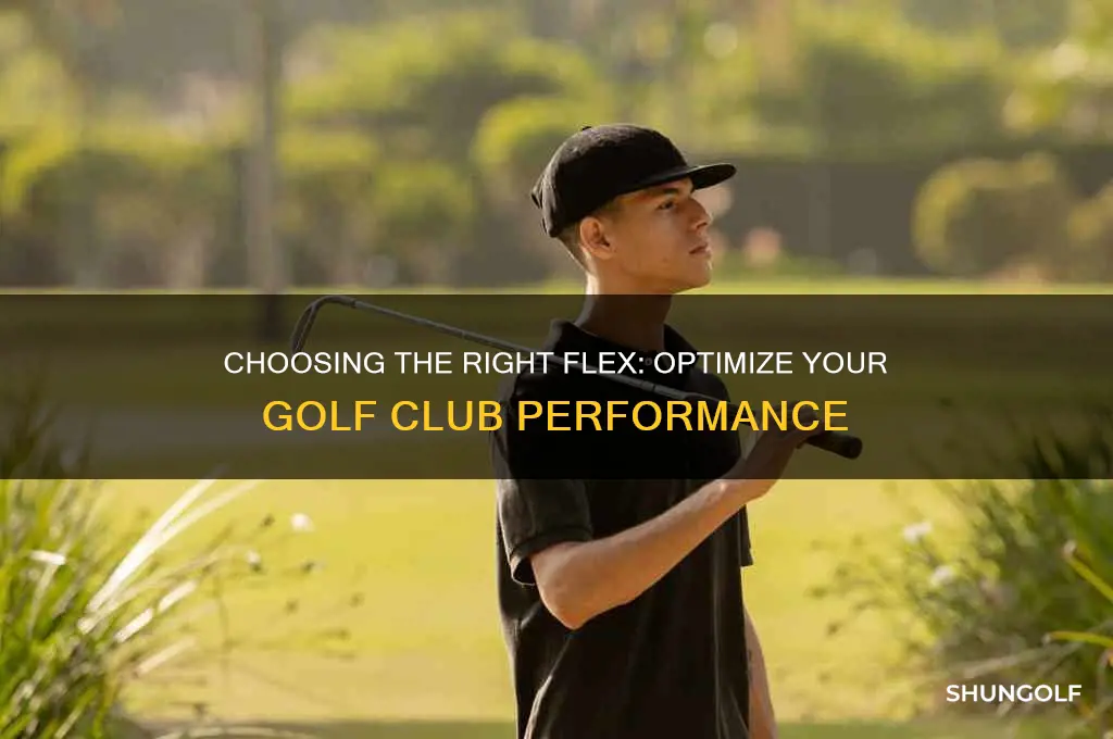 what flex is best for golf clubs