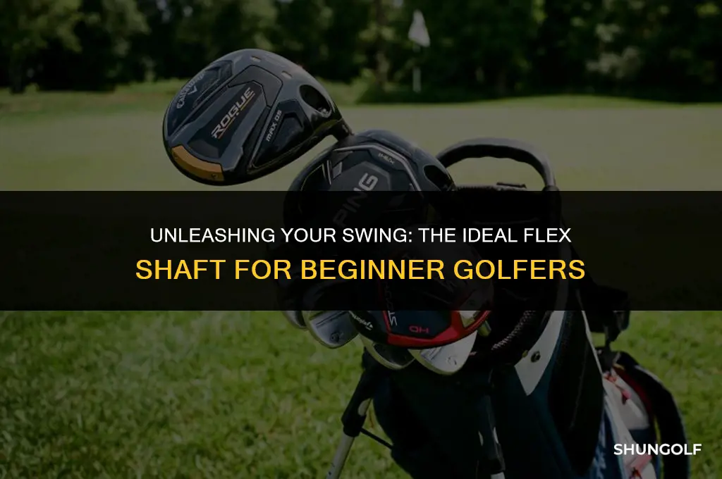 what flex shaft on a driver for a beginner golfer
