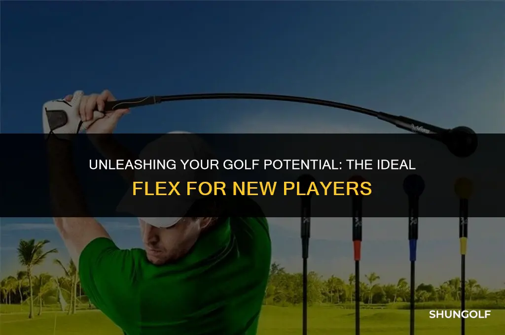 what flex should a beginner golfer use