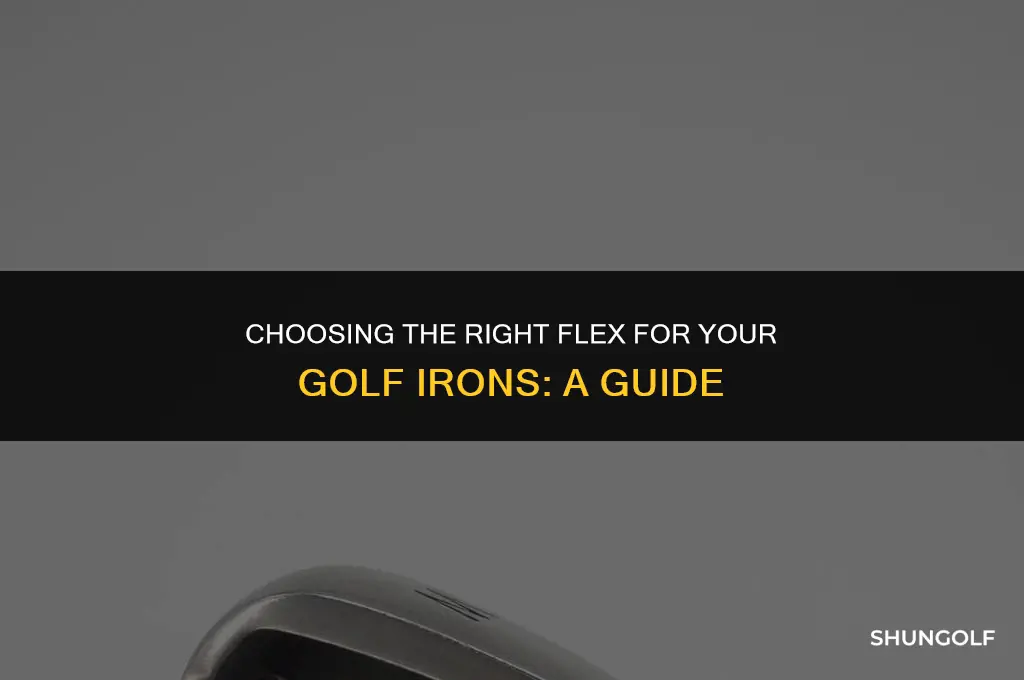 what flex should i use golf irons