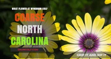 Discover the Vibrant Flowers Blooming at Wyndham Golf Course, North Carolina