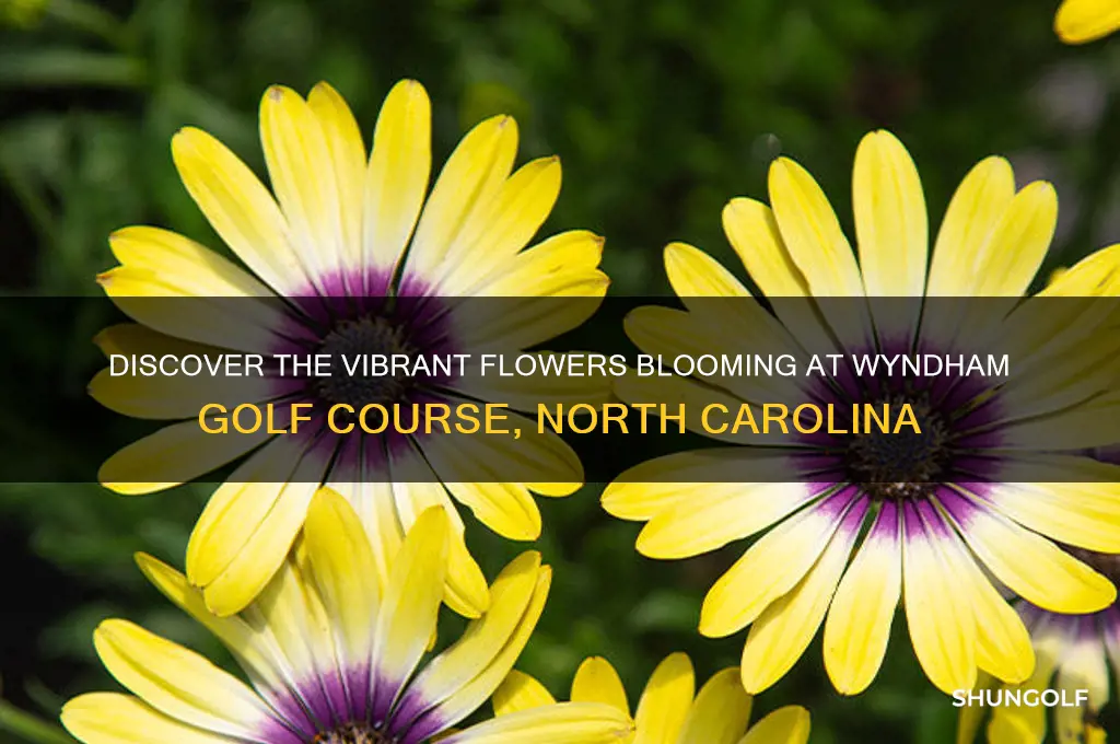 what flower at wyndham golf coarse north carolina
