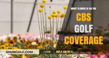CBS Golf Coverage: Unveiling the Iconic Flower Logo Mystery