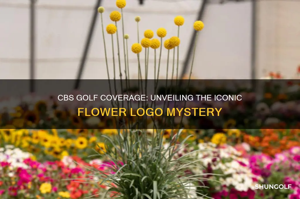 what flower is on the cbs golf coverage