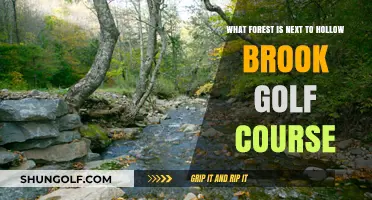 Discover the Forest Neighboring Hollow Brook Golf Course: A Guide