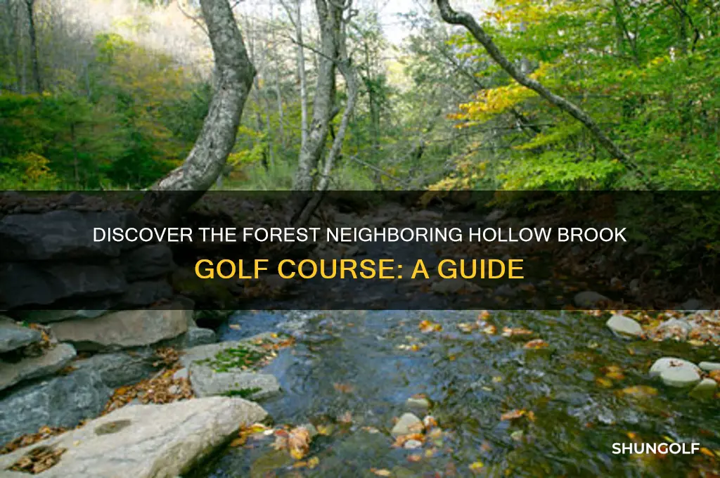 what forest is next to hollow brook golf course