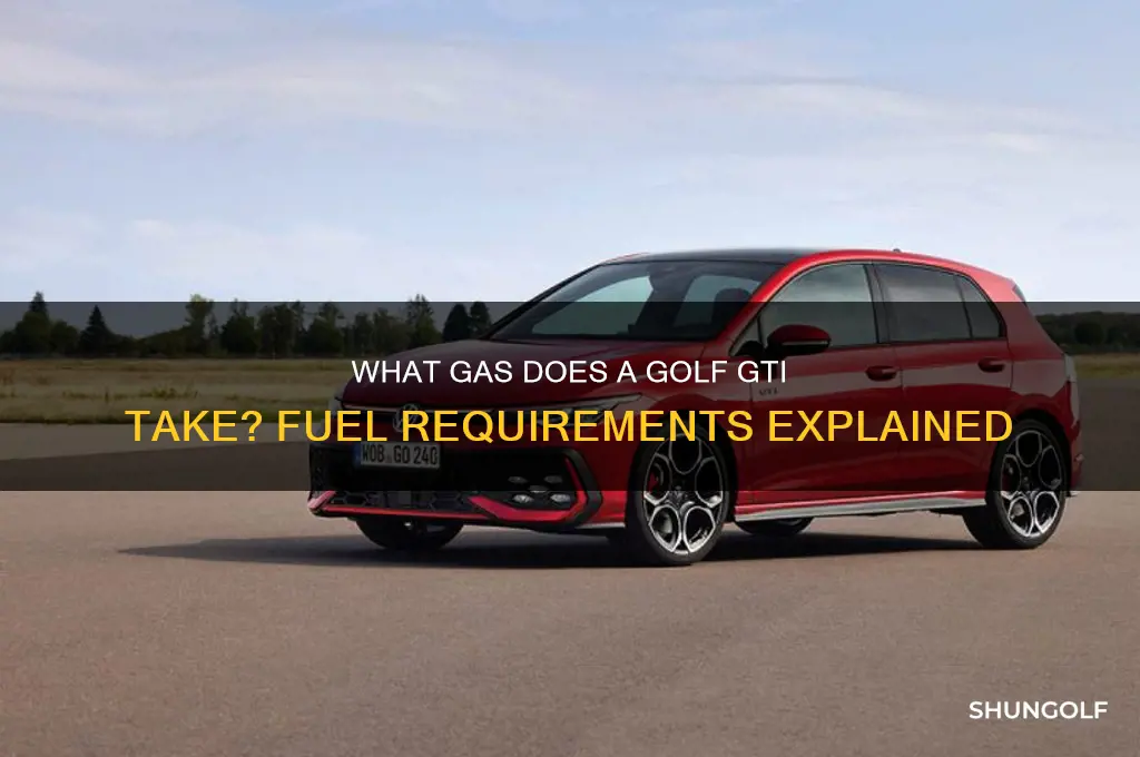 what gas does golf gti take