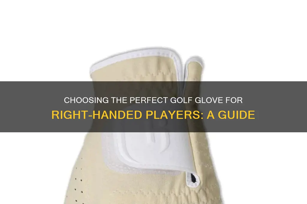 what glove do you need for a right handed golfer