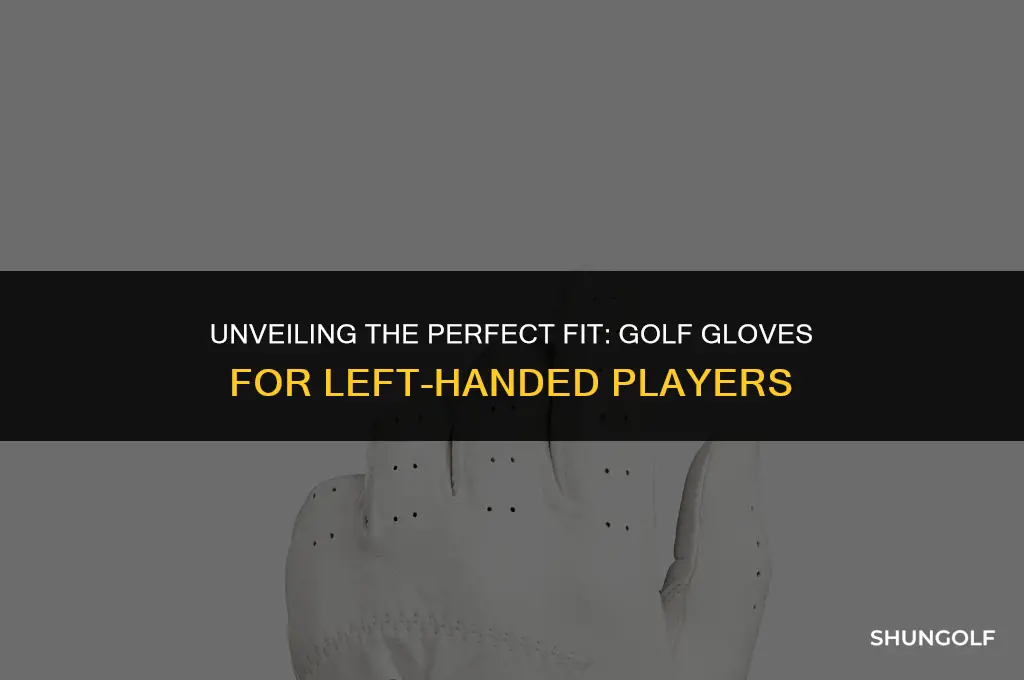what glove does a left handed golfer use