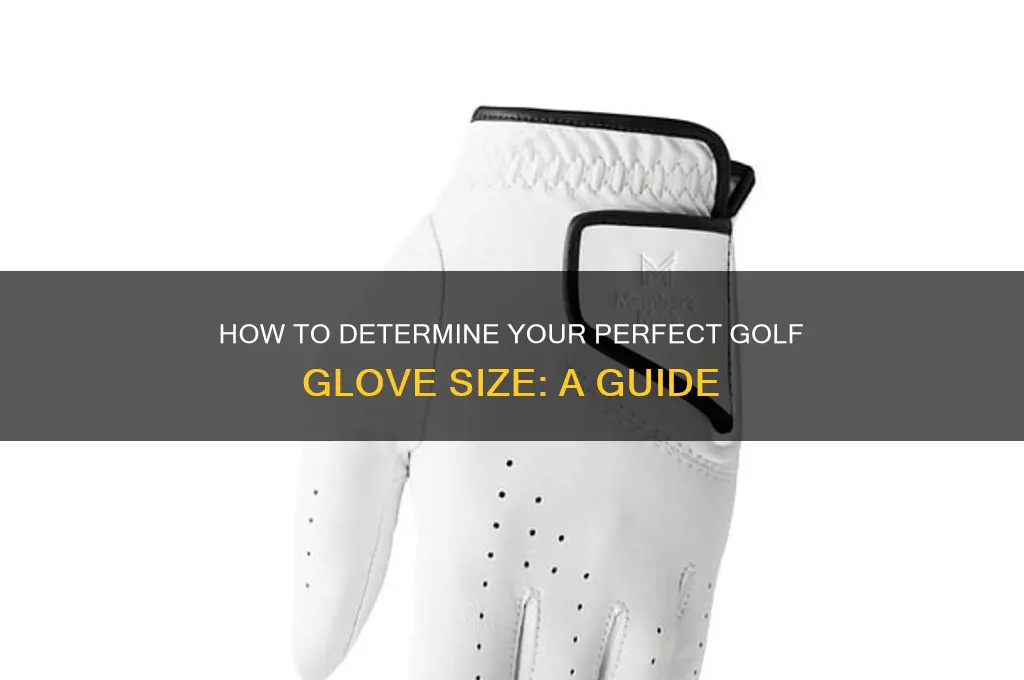 what glove size am i i n glove golf