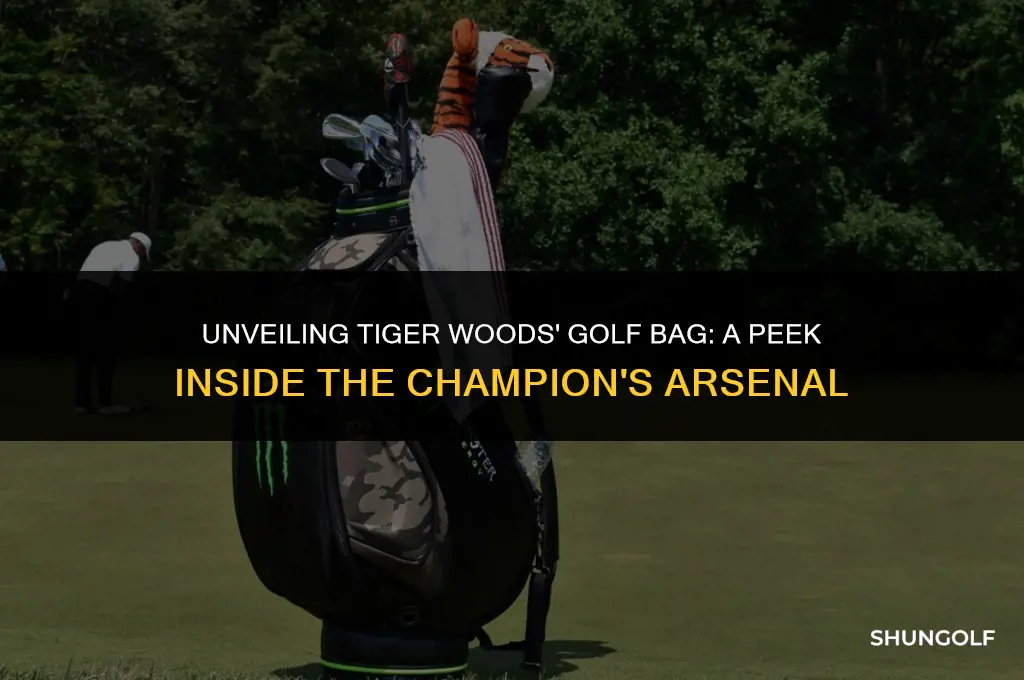 what golf bag does tiger use