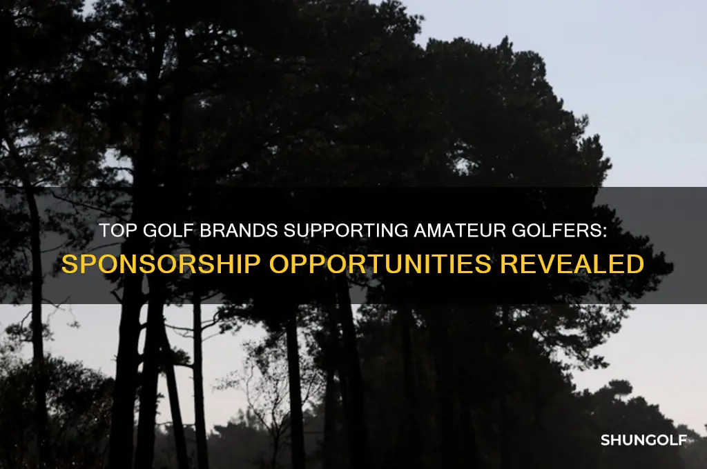 what golf brands sponsor amatuer golfers