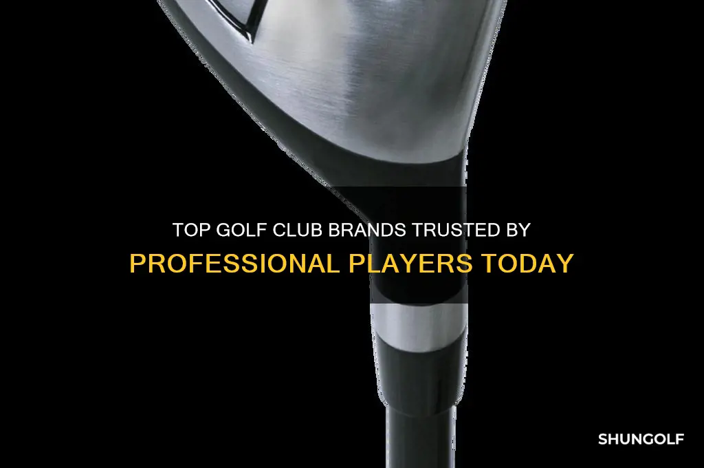 what golf club brands do the pros use