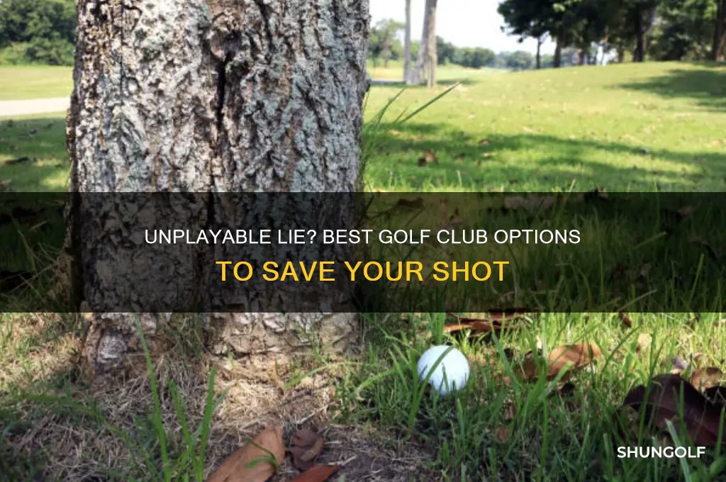 what golf club can i use for an unplayable lie
