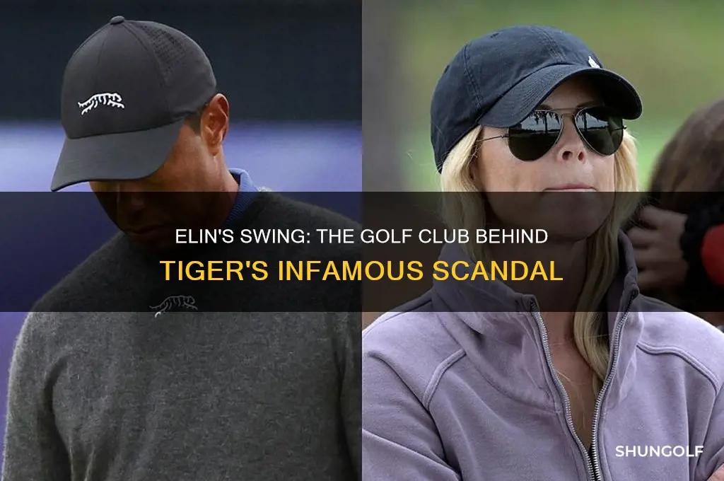 what golf club did elin hit tiger with