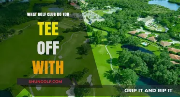 Mastering the Tee Shot: Choosing the Right Golf Club to Start