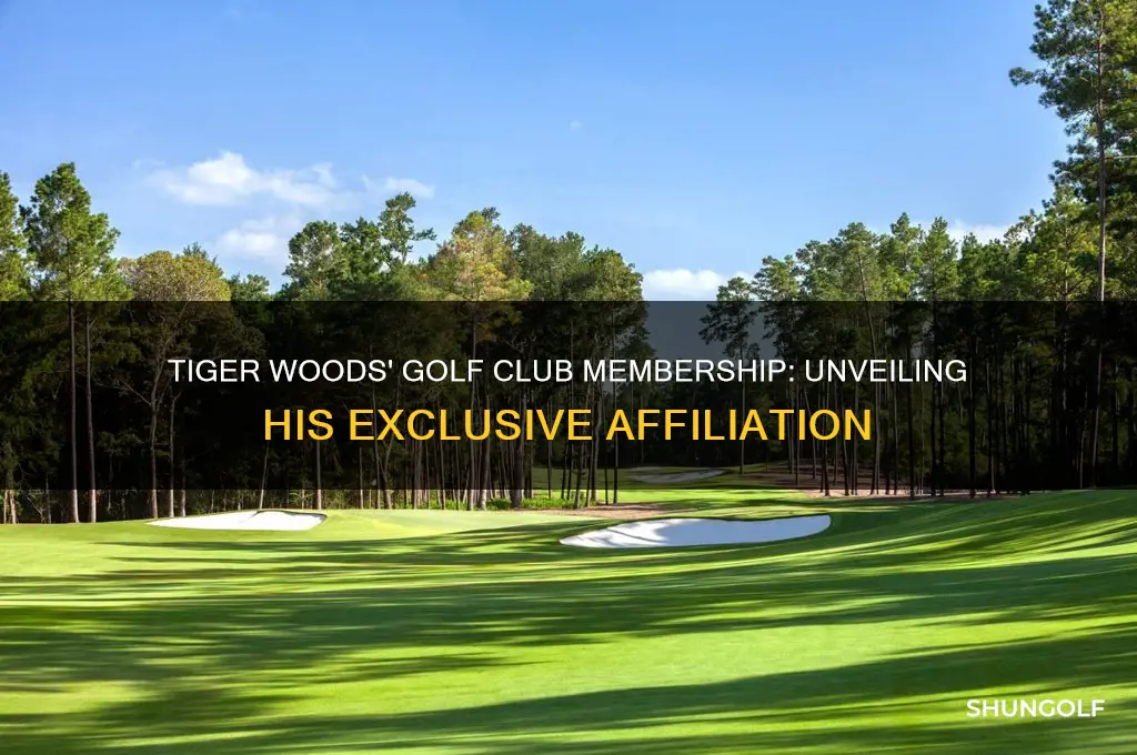what golf club does tiger belong to
