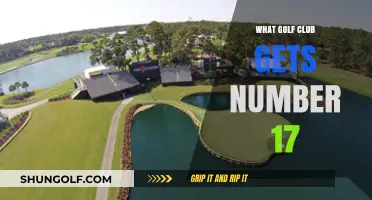 Unveiling the Mystery: Which Golf Club is Number 17?