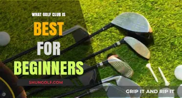Best Golf Clubs for Beginners: Top Picks to Start Swinging