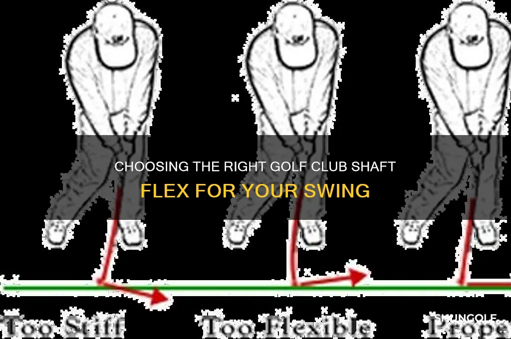 what golf club shaft flex should i use