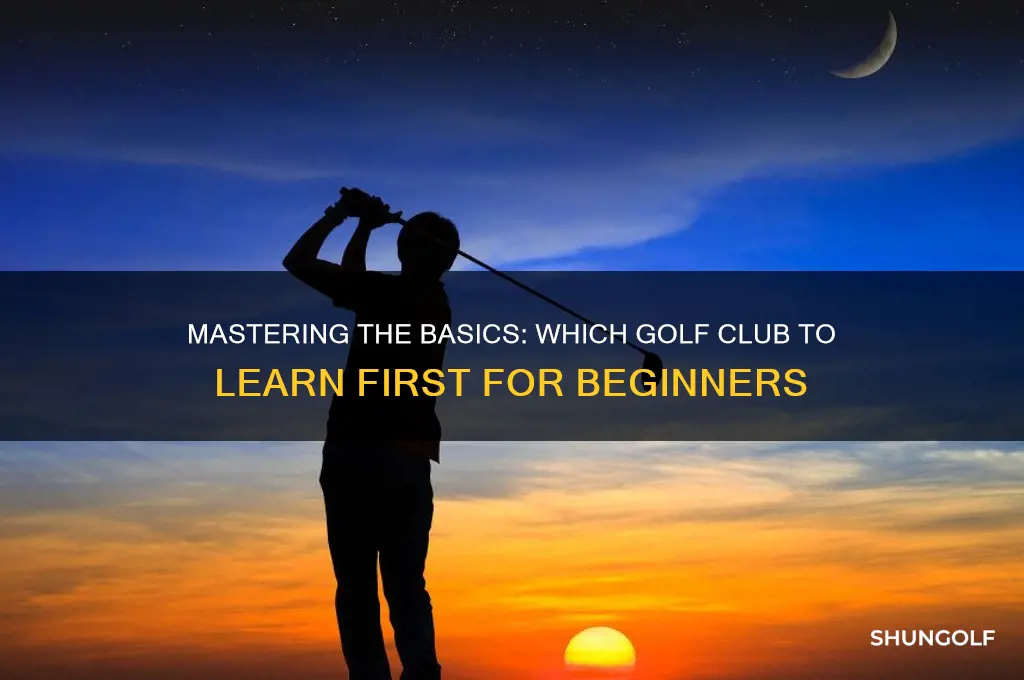 what golf club should i learn to hit first