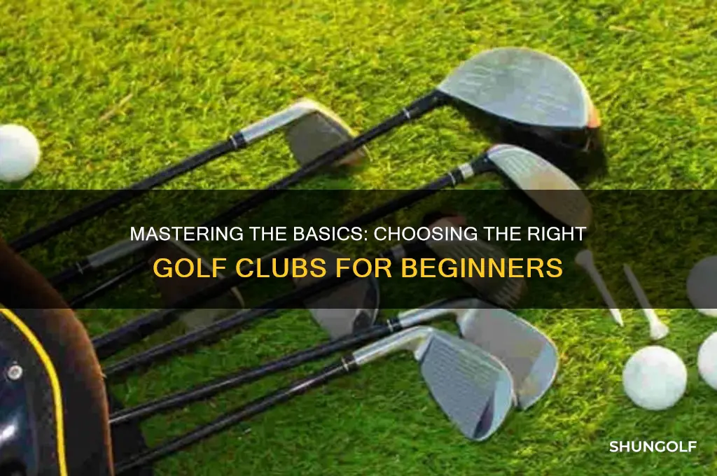 what golf club to use begginer