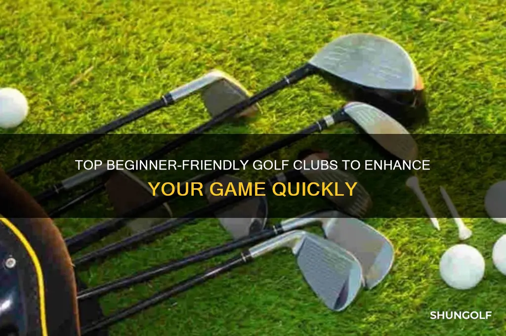 what golf clubs are best for newer players