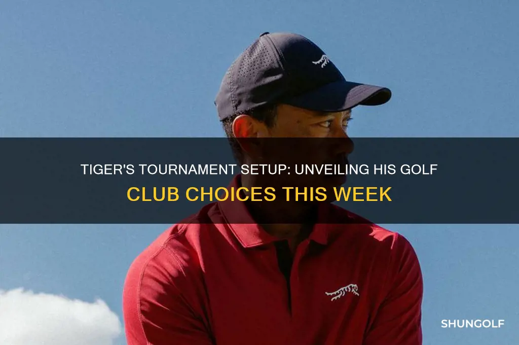 what golf clubs are in tiger