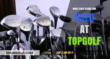 Topgolf's Club Selection: What Golf Clubs Are Used at Topgolf?