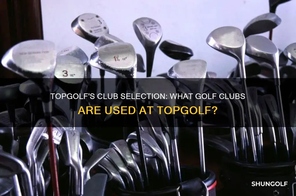 what golf clubs are used at topgolf