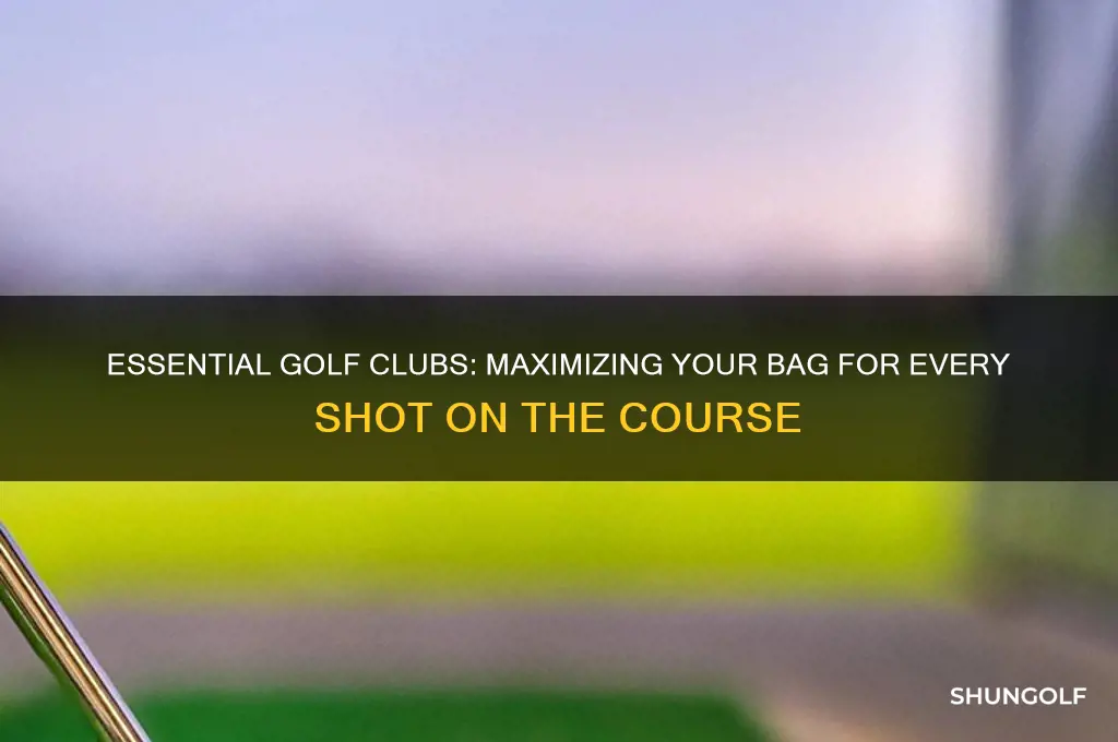 what golf clubs can you carry