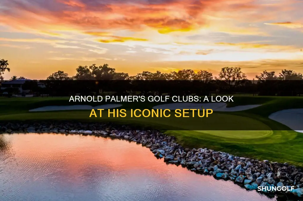 what golf clubs did arnold palmer use