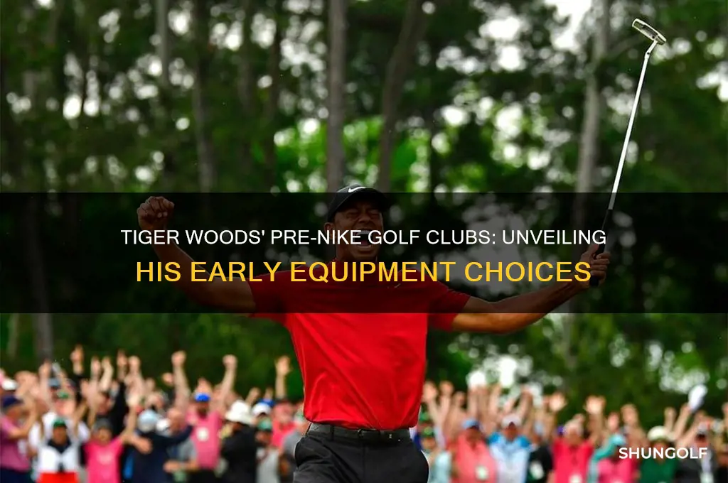 what golf clubs did tiger use before nike