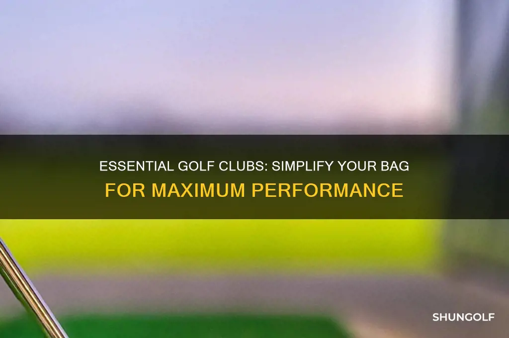 what golf clubs do i really need